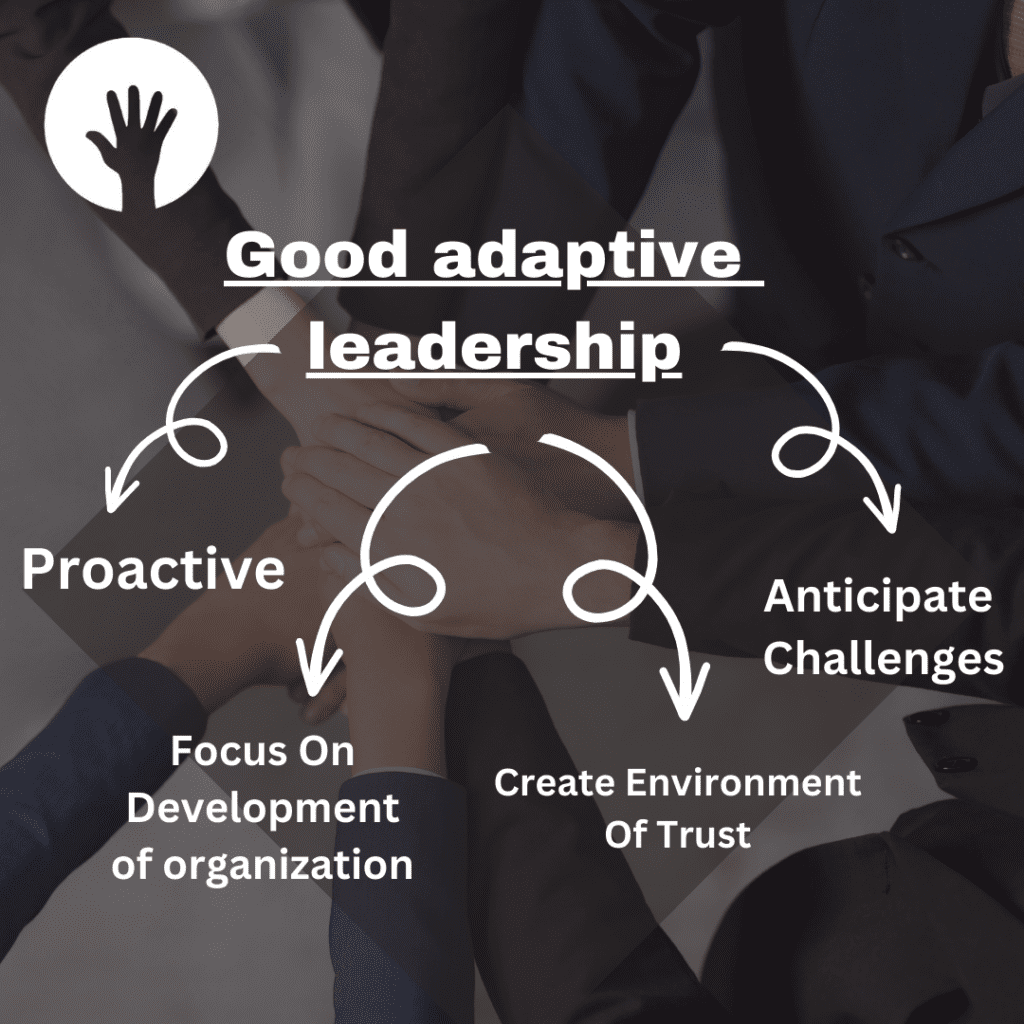 Adaptive Leadership Mindset